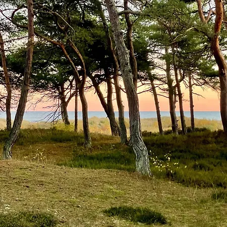 펜션 Near The Perfect For Relaxing *